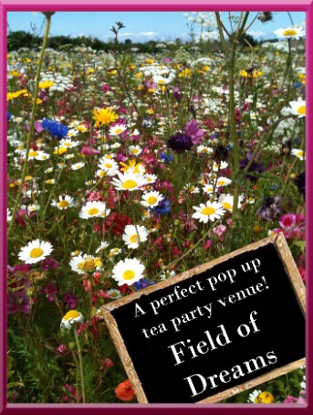Field of Dreams - a perfect pop up tea party venue!